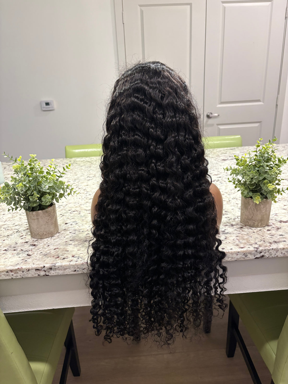 Burmese Curly